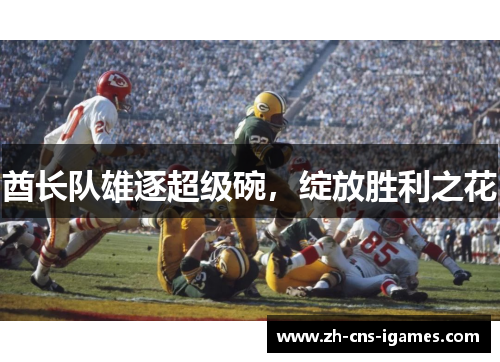 酋长队雄逐超级碗,绽放胜利之花 酋长队雄逐超级碗,绽放胜利之花