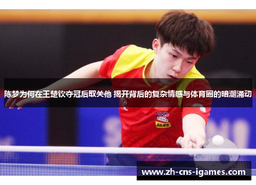 陈梦为何在王楚钦夺冠后取关他 揭开背后的复杂情感与体育圈的暗潮涌动