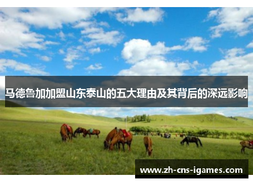 马德鲁加加盟山东泰山的五大理由及其背后的深远影响 马德鲁加加盟山东泰山的五大理由及其背后的深远影响